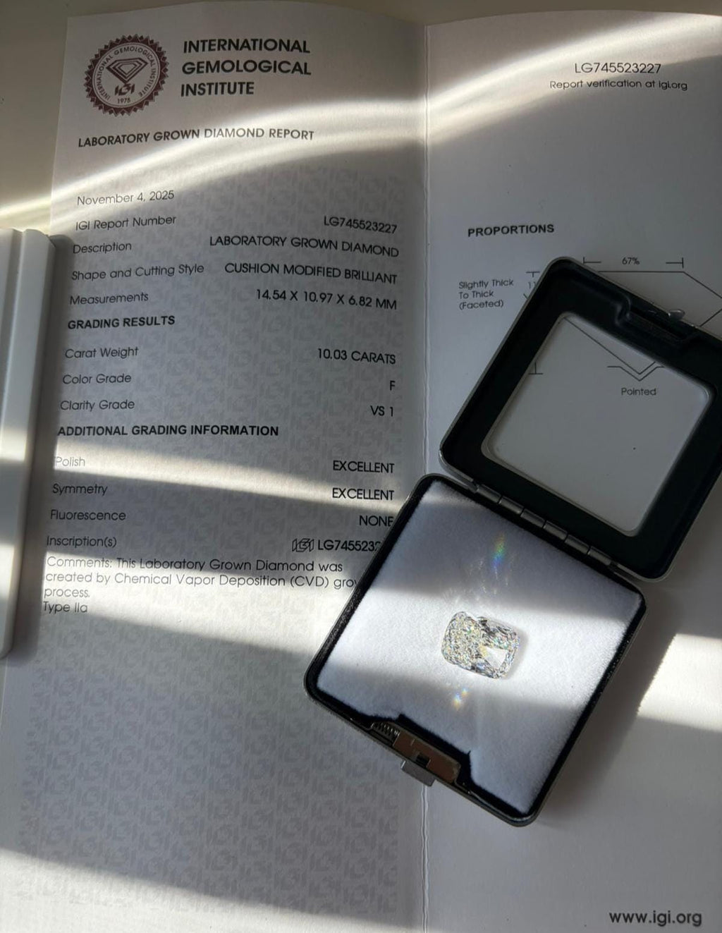 10.03ct IGI鑑定 ラボグロウン ラディアントカット ダイヤモンド、F VS1、画像12